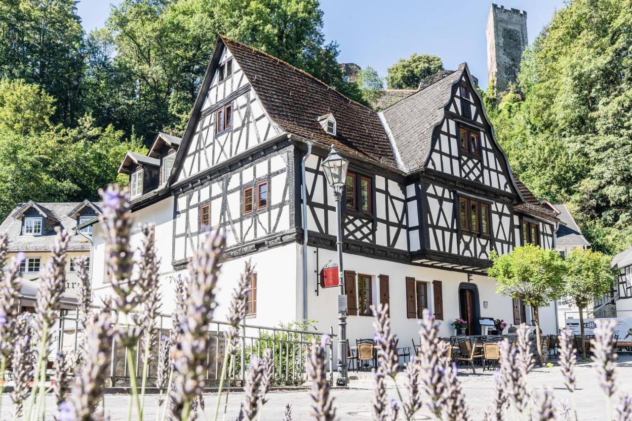 Landgasthof Zur Burg Grenzau Höhr-Grenzhausen Exteriér fotografie